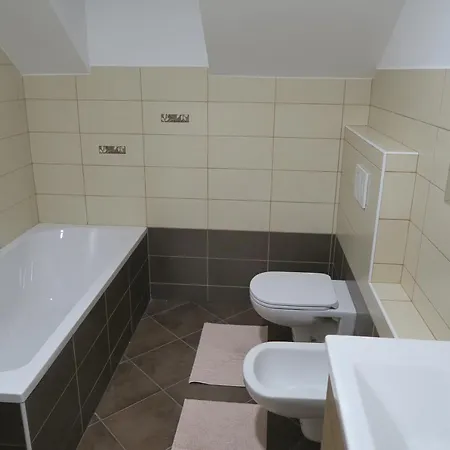 For Rent In * Ljubljana